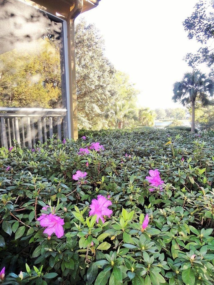 Thurston House Altamonte Springs Ngoại thất bức ảnh