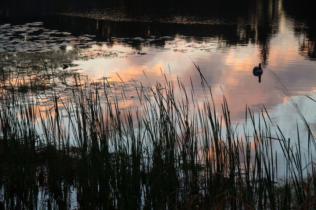 Thurston House Altamonte Springs Ngoại thất bức ảnh